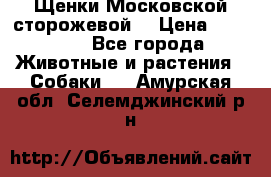 Щенки Московской сторожевой  › Цена ­ 25 000 - Все города Животные и растения » Собаки   . Амурская обл.,Селемджинский р-н